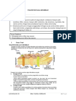 LEMBAR KERJA PRAKTIKUM Difusi Osmosis