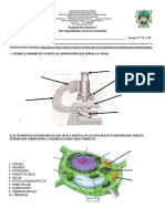 Examen de Ciencias I Tercer Trimestre 21-22