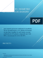 Medicion Del Diámetro de Plantas de Banano