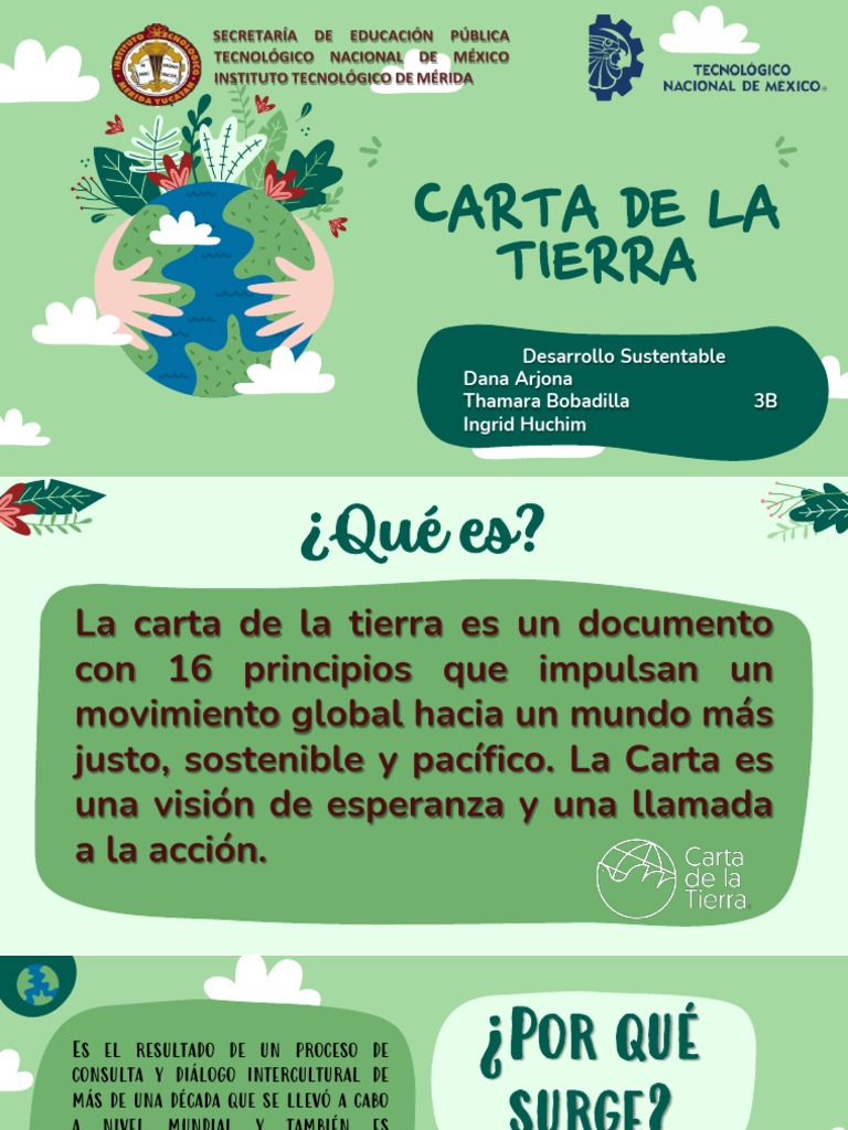 Principios de la Carta de la Tierra | PDF | Sustentabilidad ...