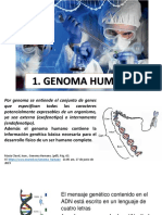 Unidad III.3 Genoma Humano