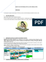 Guía para El Procesamiento de Información (Categorización)