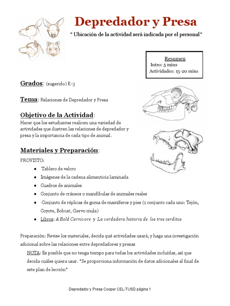 Predator & Prey Spanish Version PDF Diente Depredación
