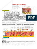 Dermatología 1er Parcial