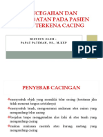 Cacing Pada Manusia