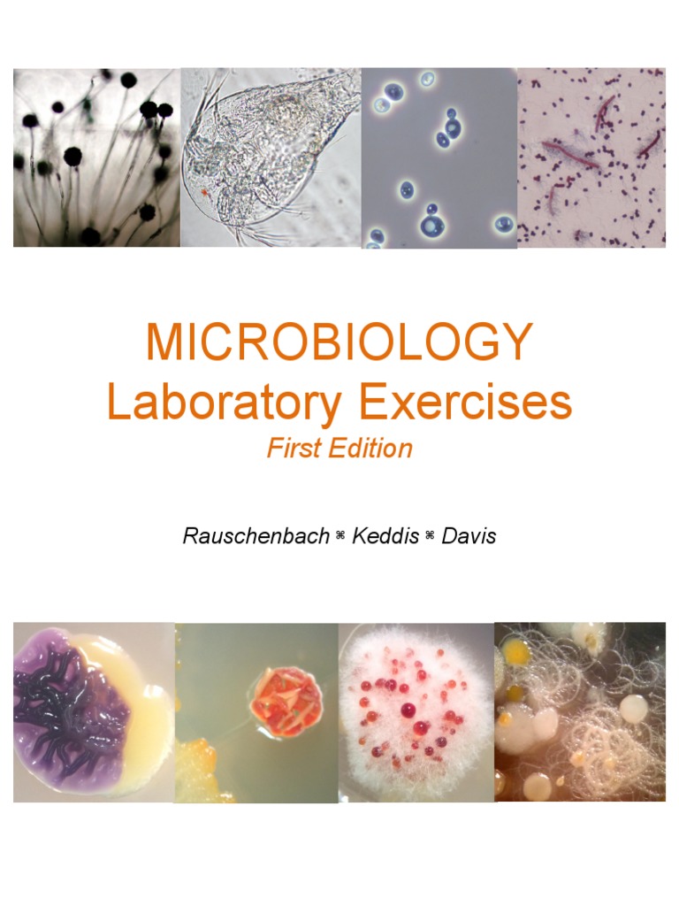 General Microbiology Lab Manual First Edition PDF Disinfectant