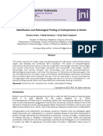 Jurnal Riset Veteriner Indonesia: Identification and Pathological Finding of Colisepticemia in Broiler