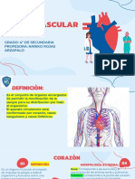 Sistema Cardiovascular Humano: Grado: 4º de Secundaria Profesora: Nariko Rojas Arzapalo