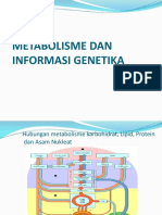 Metabolism GenMol (ITERA) TCA RR