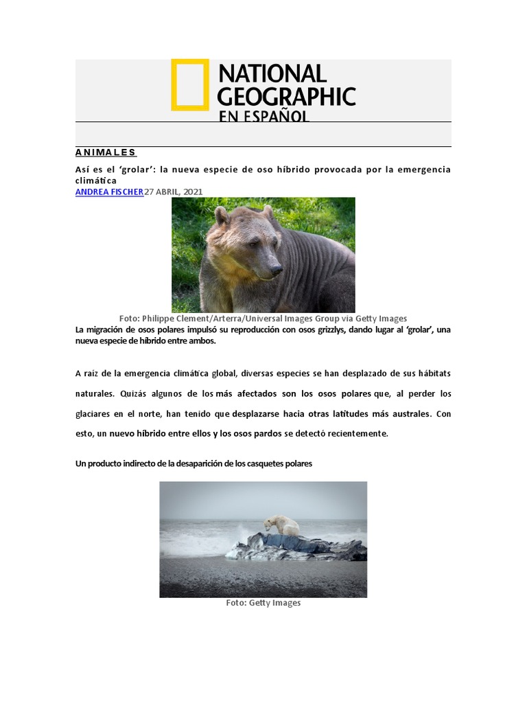 Ecosistemas Oso Grolar | PDF | Oso polar | Oso grizzly, image size:768x1024