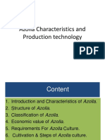 Azolla Characteristics and Production Technology