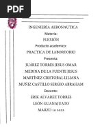 Reporte de Práctica Flexión