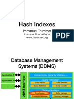 Hash Indexes: Immanuel Trummer