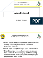 Abses Perirenal