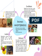 Mapa Mental Animais Invertebrados