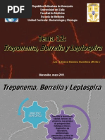 Download TEMA 12 Treponema Borrelia y Leptospira by lilianagomezgamboa SN59007339 doc pdf