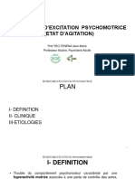 SYNDROME D'EXCITATION PSYCHOMOTRICE-2