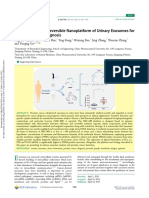 Ultrasensitive and Reversible Nanoplatform of Urinary Exosomes For