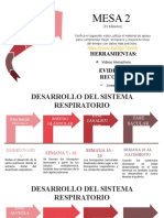 Lìnea Del Tiempo - Sistema Respiratorio - Pràctica