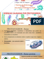 Doenças Causadas Por Protozoários