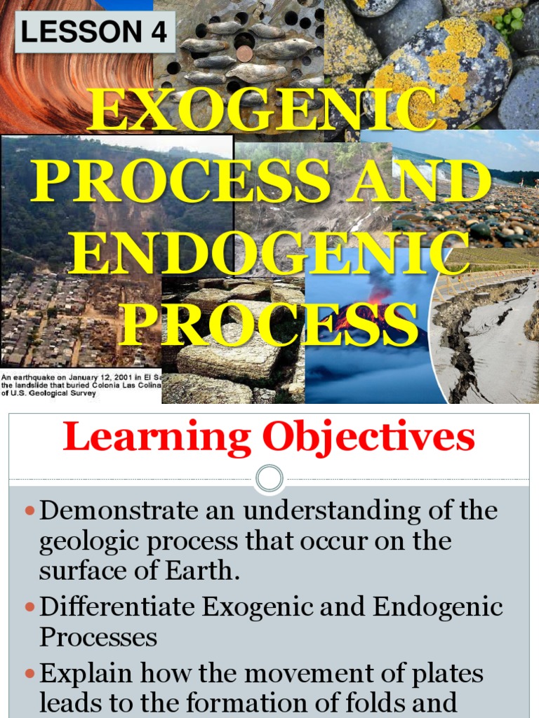 Exogenic vs. Endogenic Processes Explained | PDF | Weathering | Rock ...