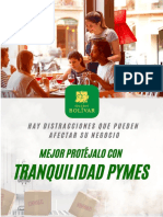 Propuesta Tranquilidad Pyme 1