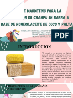 Presentación Plan de Marketin Champu en Barra-Avance 1