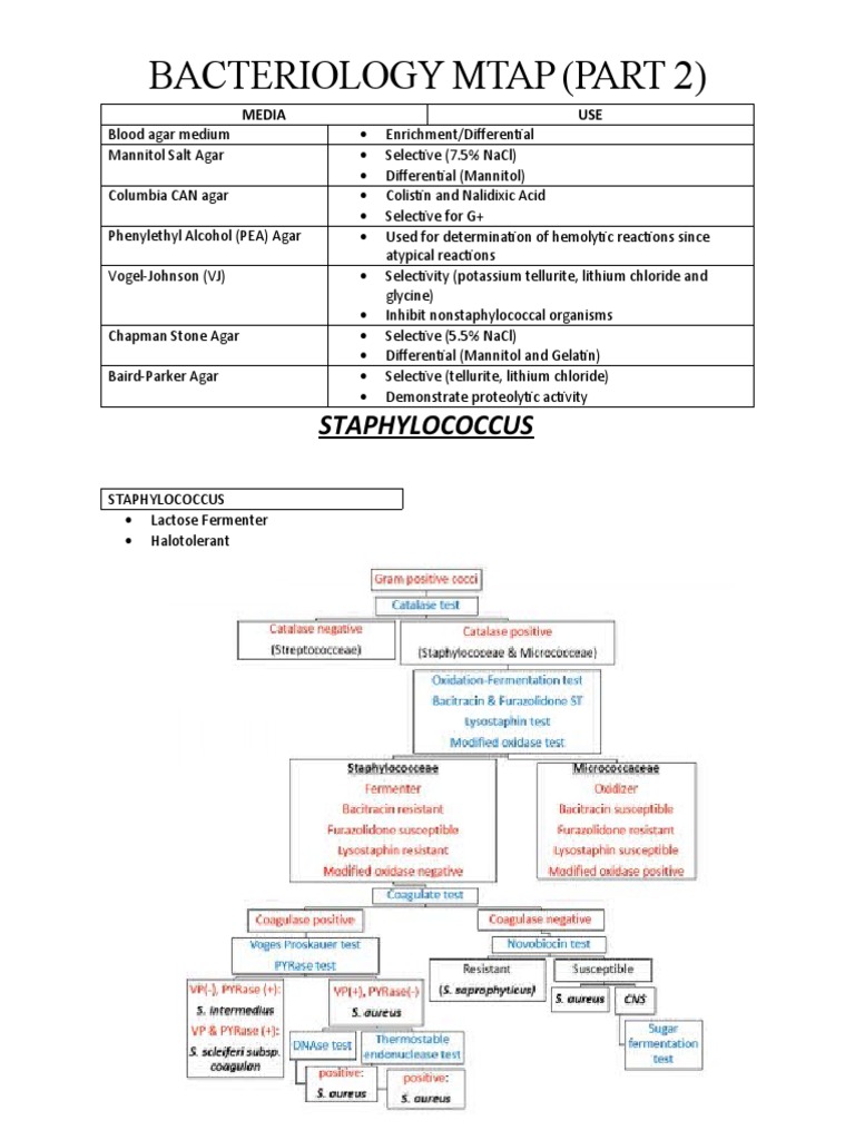Bacteriology MTAP: Media & Tests Overview | PDF | Staphylococcus ...