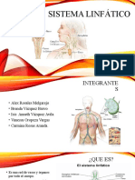 Sistema Linfático EQUIPO 1 - 015324