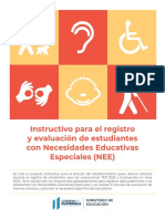 Instructivo NEE 2022