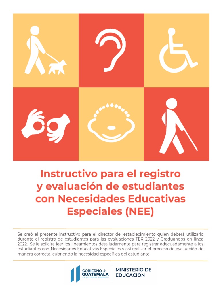 Instructivo_NEE_2022 | PDF | Evaluación | Discapacidad visual