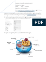 Cuestionario de biología sobre sistemas y funciones del cuerpo humano