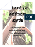 Acodamiento y Sus Modificaciones Naturales