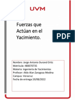 Tarea 3 - Fuerzas Que Actuan en El Yacimiento - JADO