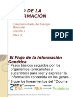 FLUJO DE LA INFORMACIÓN GENÉTICA: REPLICACIÓN, TRANSCRIPCIÓN Y TRADUCCIÓN