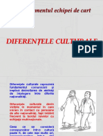 MEC 6 - Diferentele culturale