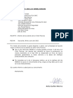 Informe Cirilo Pariona