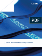 Casos Proceso de Formacion y Desarrollo