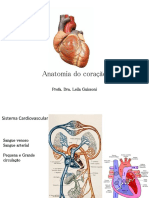 Cardio Medicina Morfo 3 - 2022