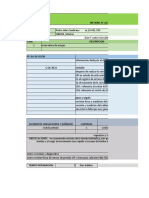 Informe Revision Kato Montez-1