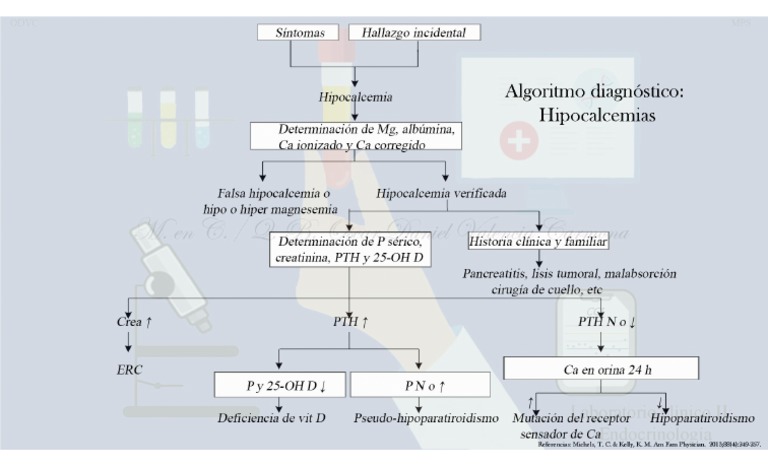 Algoritmo de Hipocalcemia | PDF