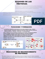 Expo de Quimica 2.proteinas.