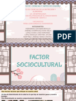 Factor Socio-Cultural