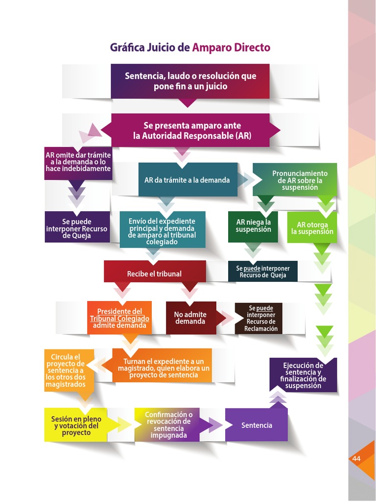 Diagrama de Flujo del Amparo Directo | PDF