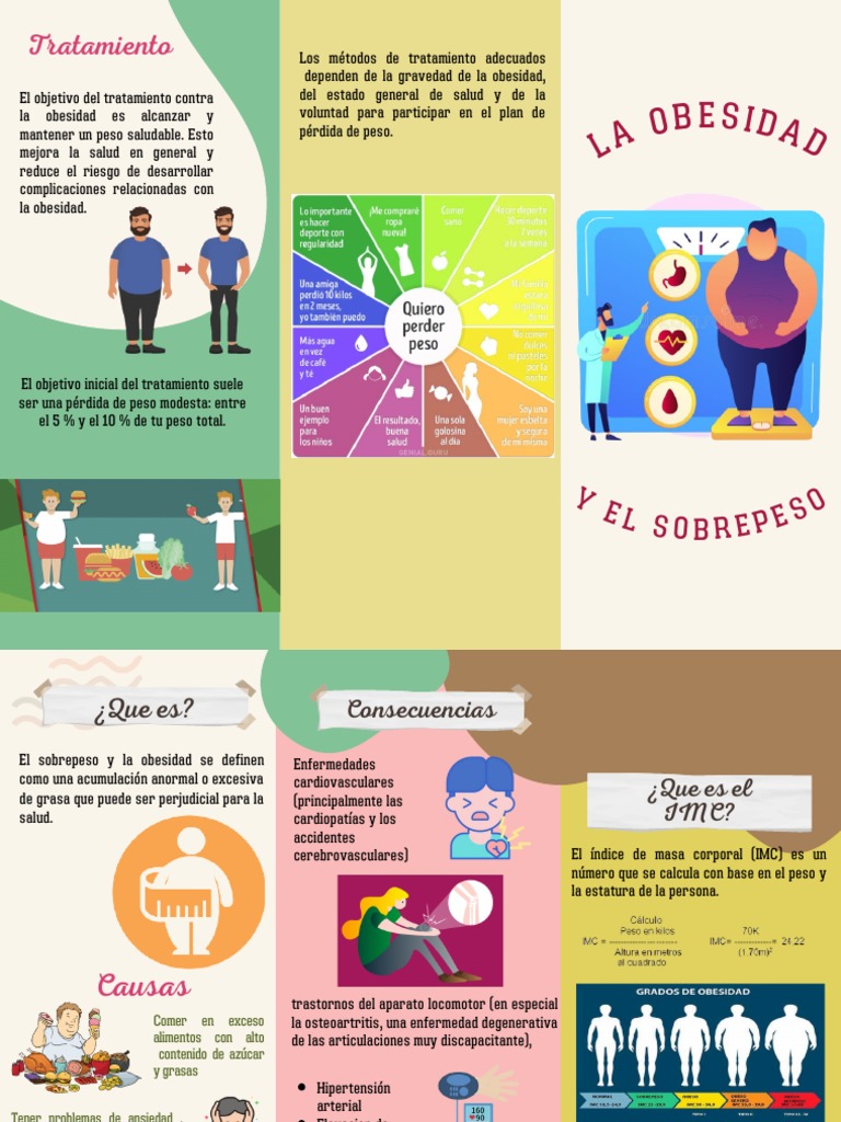 Tratamiento y Consecuencias de la Obesidad | PDF | Obesidad | Pérdida ...