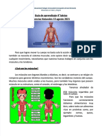 PDF Guia de Aprendizaje Los Musculo