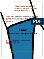 Tarea Jemplos de Conseptos Juridicos