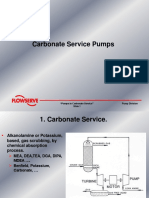 Day 5 Pumps in Carbonate Service