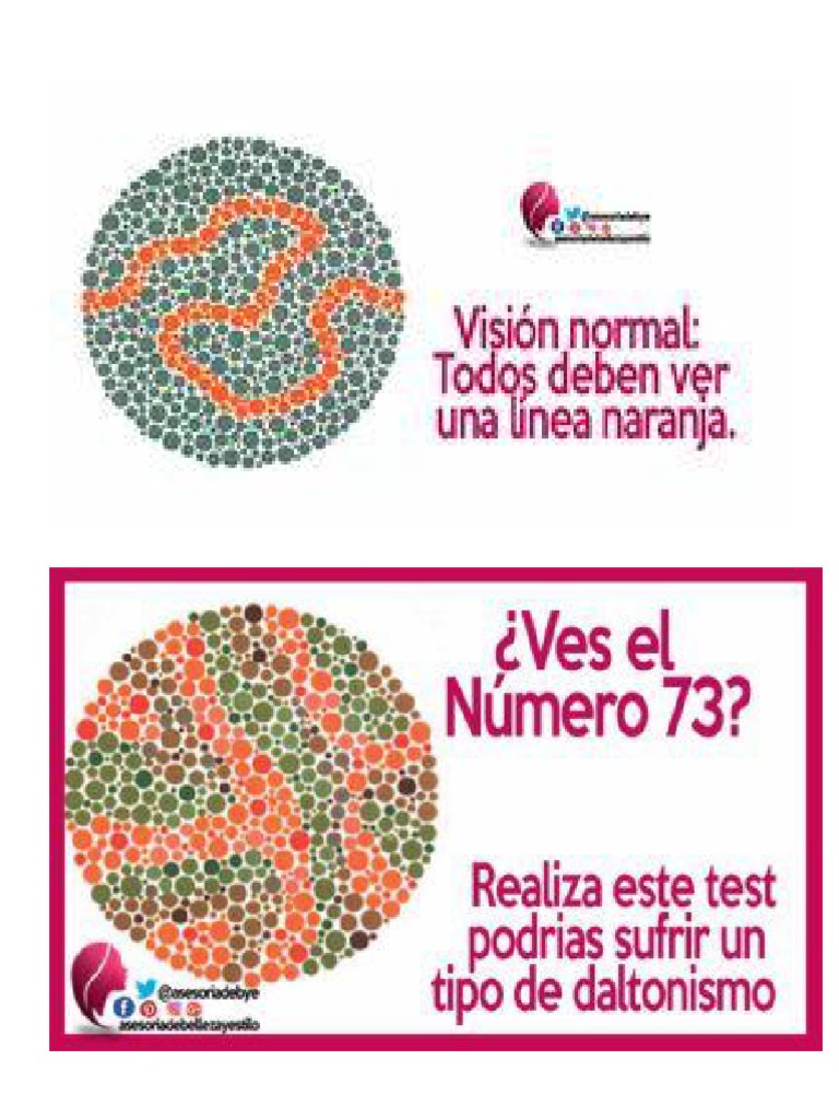 Ishihara Test | PDF