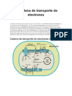 Transporte de Electrones